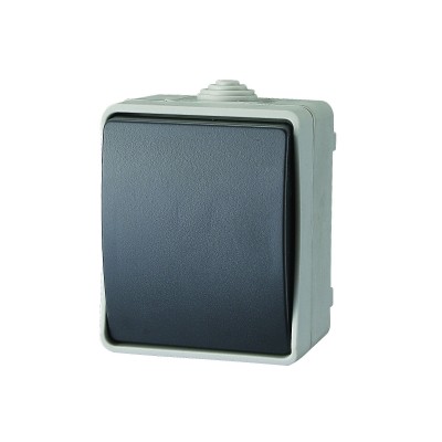 AQUATOP, montat pe perete, întrerupător basculant IP54 gri - 9870H